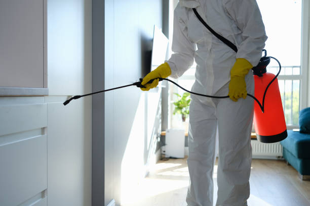 Trusted Asbury Park, NJ Mold Removal Experts