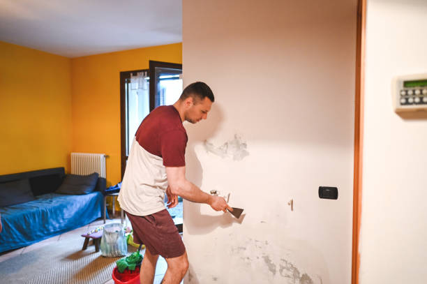Best Fast Mold Removal  in Asbury Park, NJ