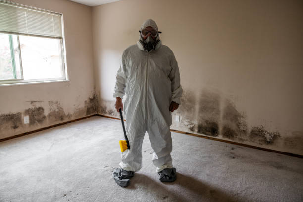 Best Mold Removal Near Me  in Asbury Park, NJ